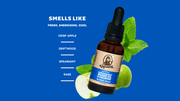 Beard Oil 3-Pack - Active Outdoor Lineup