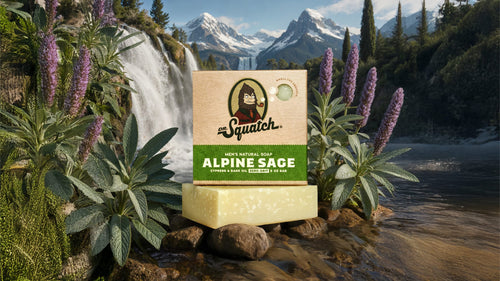 Alpine Sage - Classic Morning Bar
