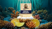 Deep Sea Goats Milk - Forest Fresh Start