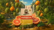 Grapefruit IPA - Modern Shower Lather
