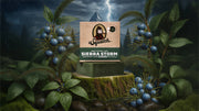 Sierra Storm - Ridge Clean