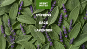 Alpine Sage Deodorant - Essential Carry