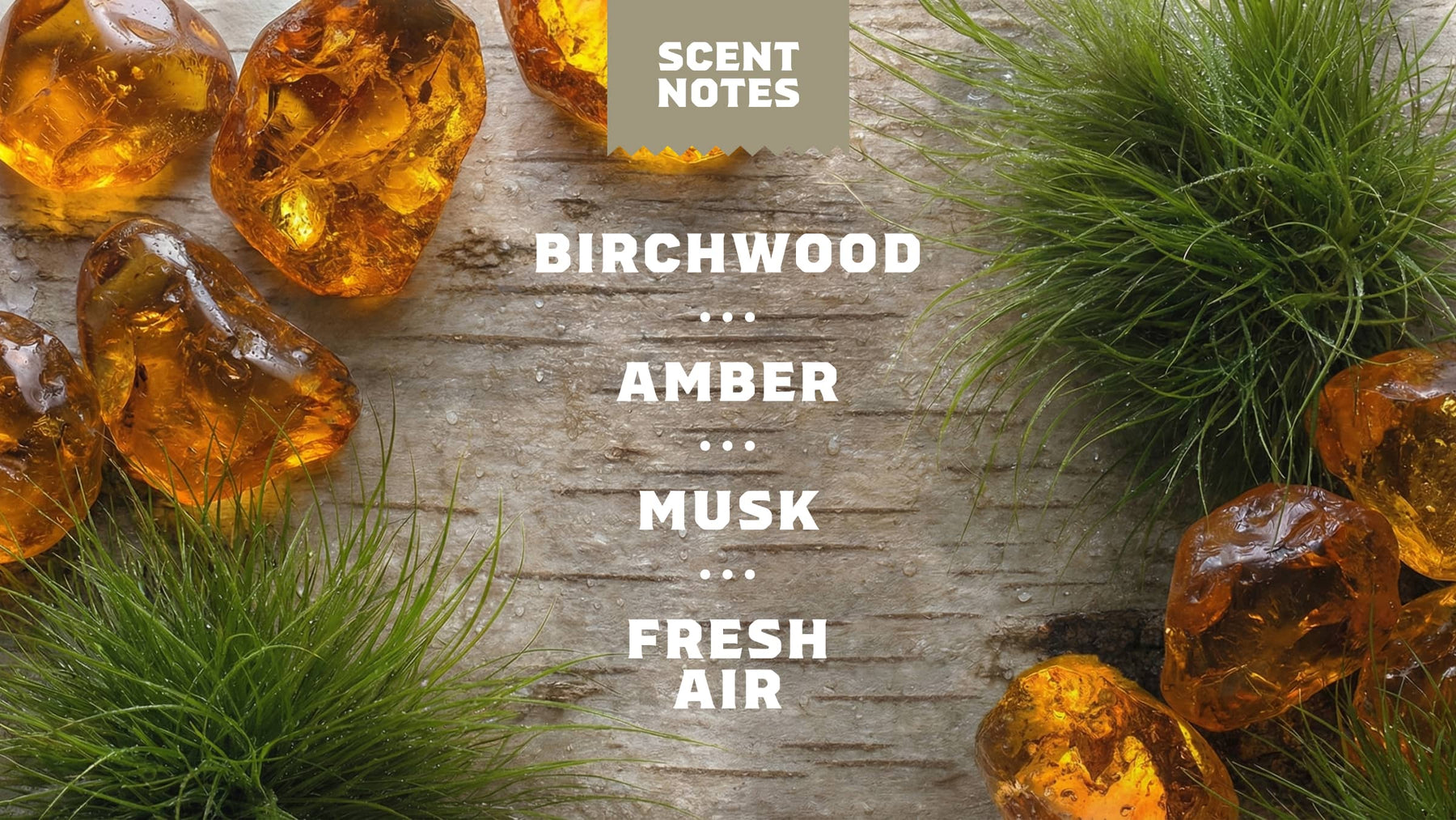 Birchwood Breeze - Easy Daily Lather
