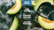 14 oz Coastal Mist Body Wash - Modern Fresh Routine