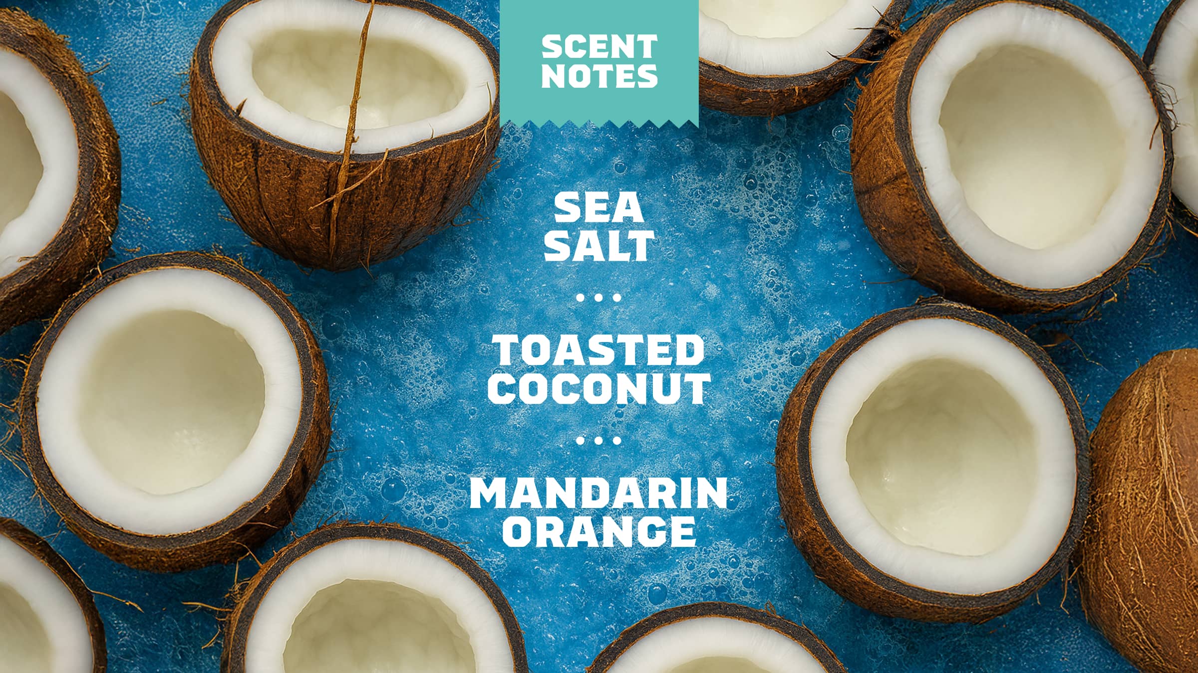 14 oz Coconut Castaway Body Wash - Forest Start