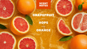 Grapefruit IPA - Modern Shower Lather
