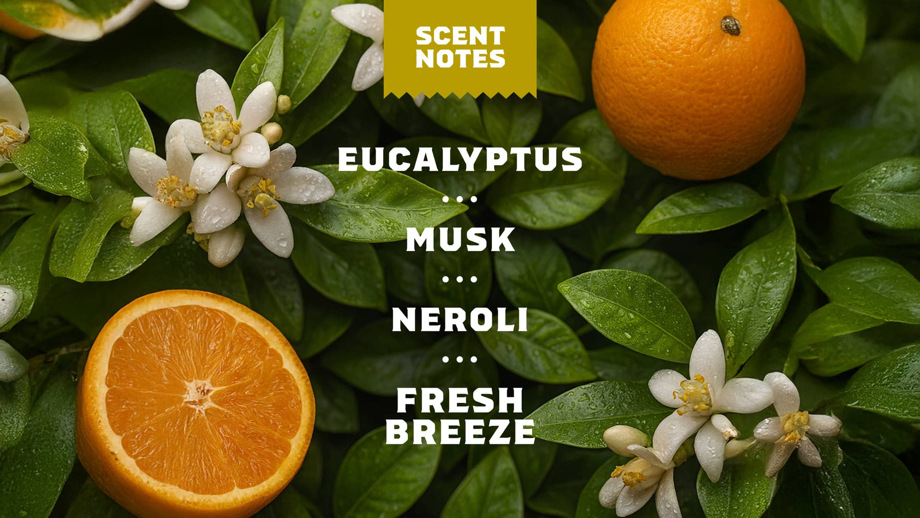 Mountain Meadow Spray Deodorant - Easy Carry