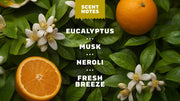 Mountain Meadow Deodorant - Active Outdoor Fresh