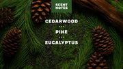 Pine Tar Exfoliating Face Wash - Essential Lather