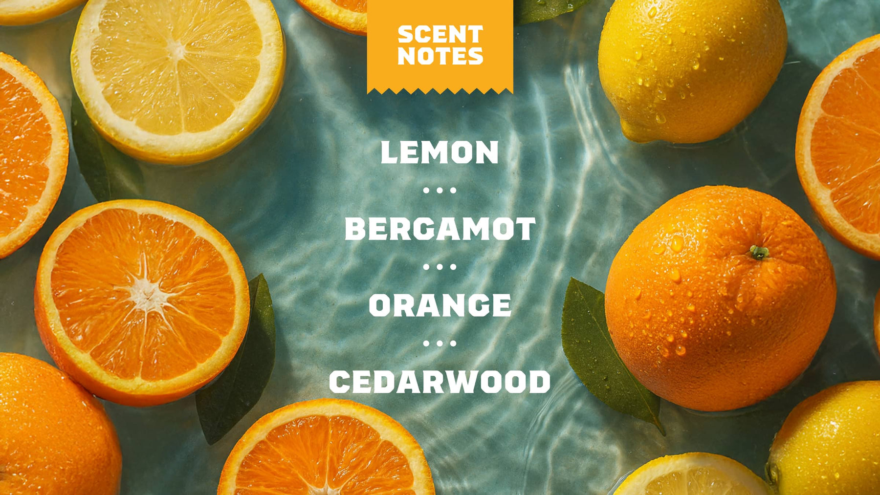 Summer Citrus Invisible Glide Deodorant - Clean Carry