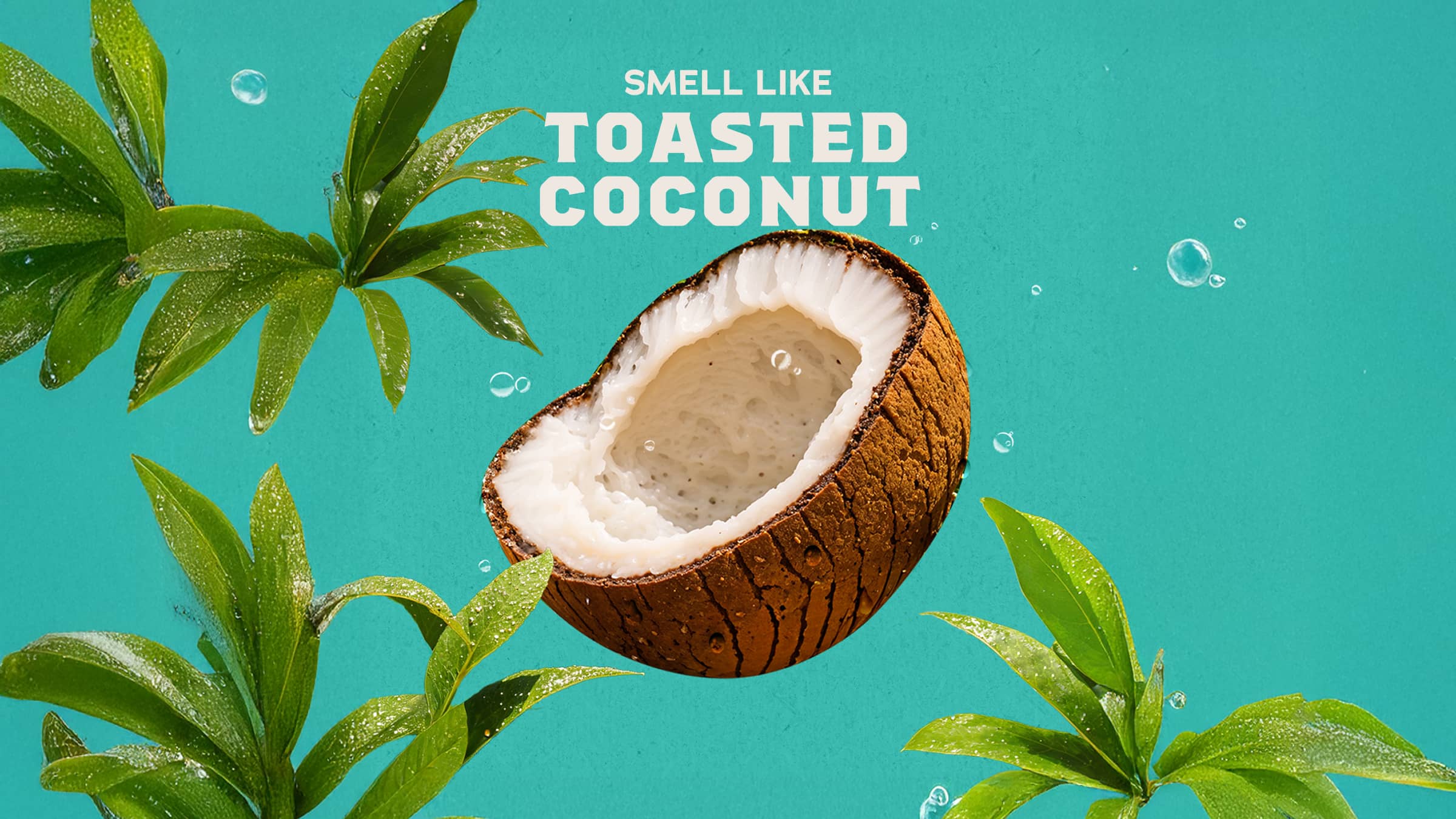 14 oz Coconut Castaway Body Wash - Premium Outdoor Clean