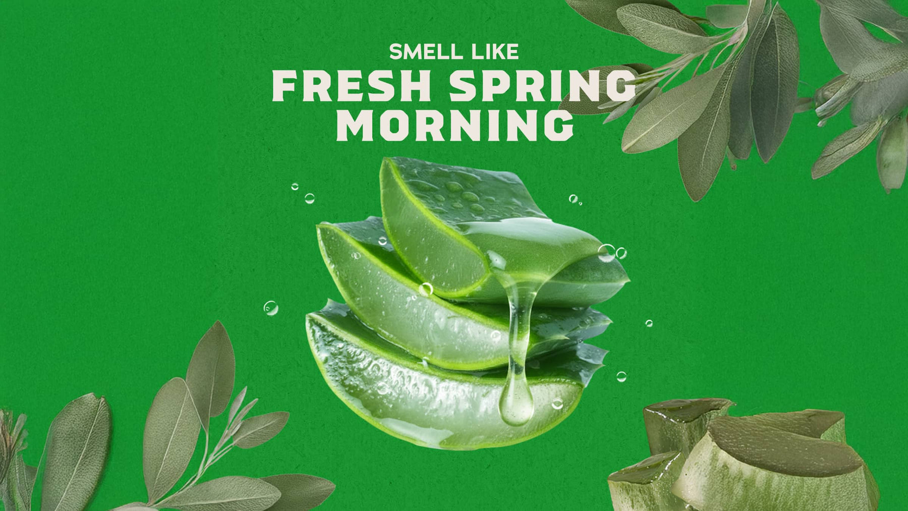 Cool Fresh Aloe Conditioner - Simple Active Clean