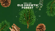 Pine Tar Lotion - Soft Finish