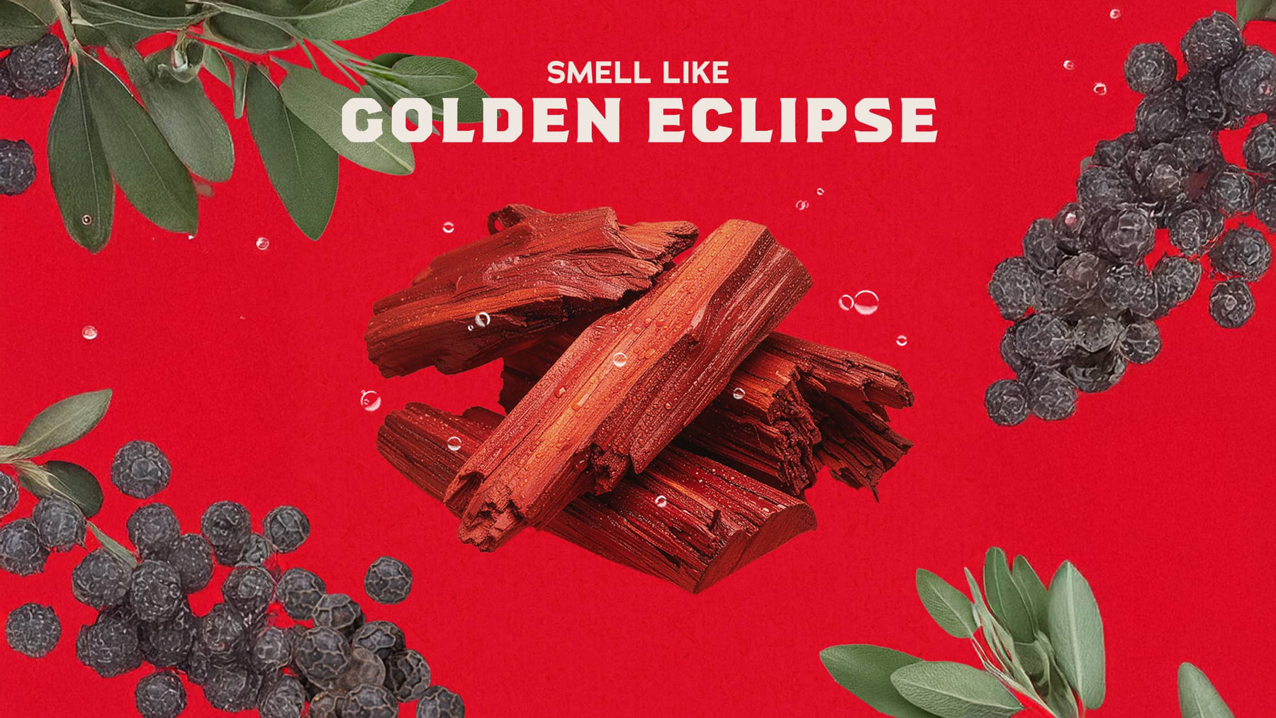 Sandalwood Summit Deodorant - Simple Outdoor Routine