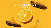 Summer Citrus Shampoo - Morning Fresh