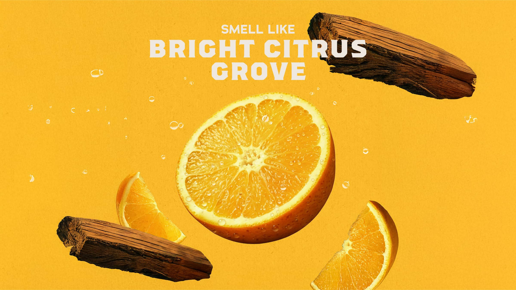 Summer Citrus Shampoo - Morning Fresh